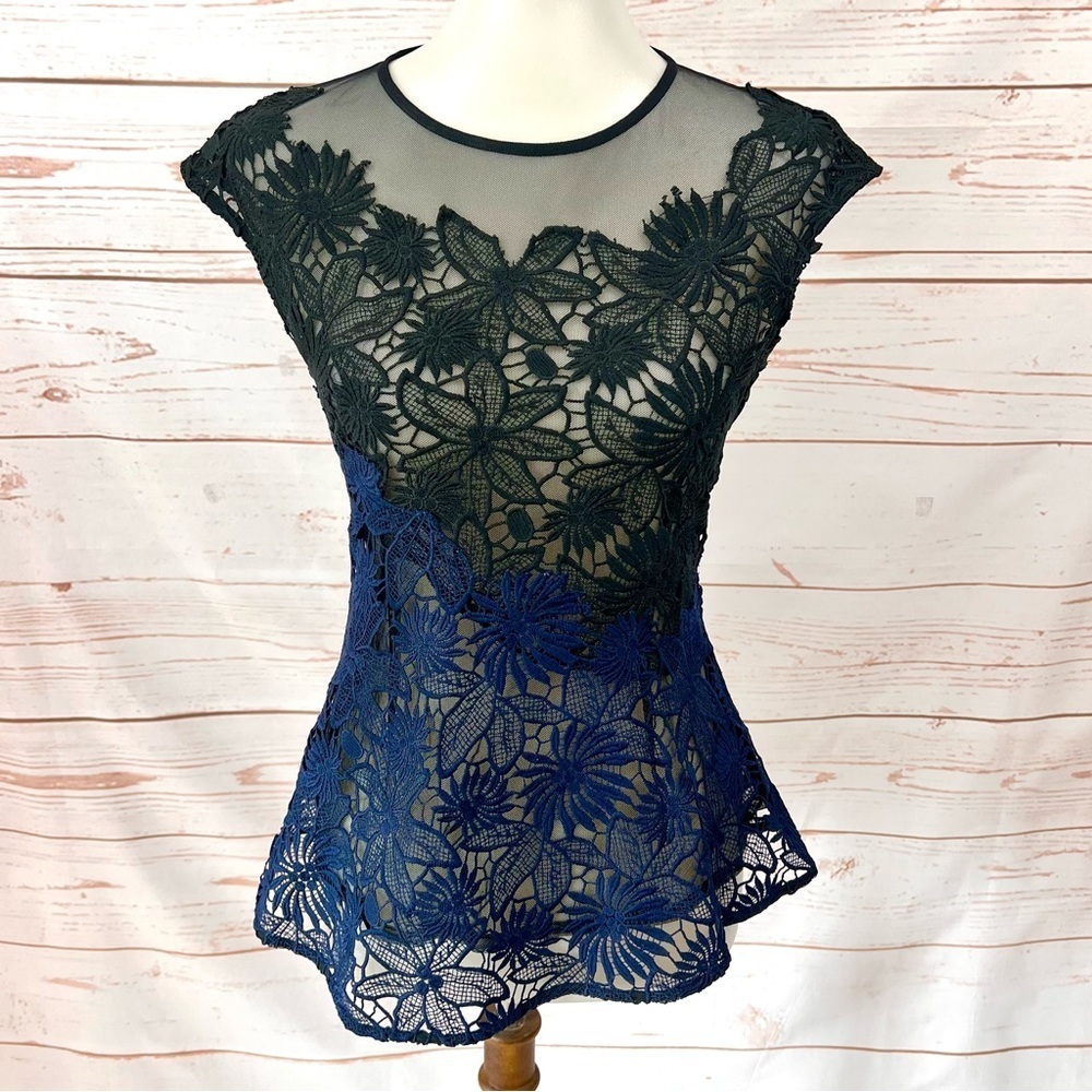 Anthropologie Deletta Guipure Lace Asymmetrical Ombre Sheer Peplum Blouse - Picture 1 of 11